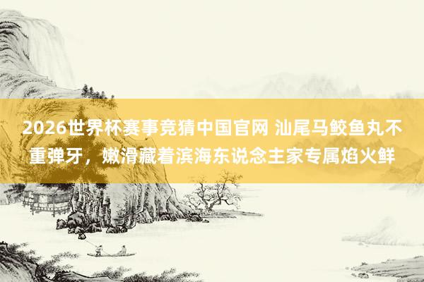 2026世界杯赛事竞猜中国官网 汕尾马鲛鱼丸不重弹牙，嫩滑藏着滨海东说念主家专属焰火鲜