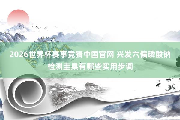 2026世界杯赛事竞猜中国官网 兴发六偏磷酸钠检测圭臬有哪些实用步调