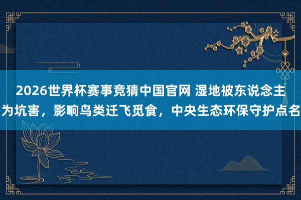 2026世界杯赛事竞猜中国官网 湿地被东说念主为坑害，影响鸟类迁飞觅食，中央生态环保守护点名