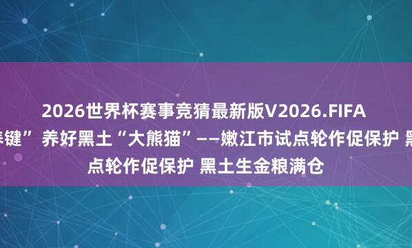 2026世界杯赛事竞猜最新版V2026.FIFA 用好轮作“调养键” 养好黑土“大熊猫”——嫩江市试点轮作促保护 黑土生金粮满仓