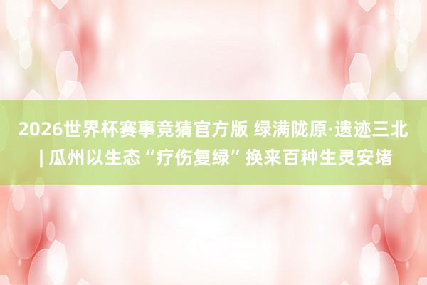 2026世界杯赛事竞猜官方版 绿满陇原·遗迹三北 | 瓜州以生态“疗伤复绿”换来百种生灵安堵