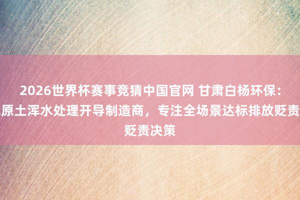 2026世界杯赛事竞猜中国官网 甘肃白杨环保：西北原土浑水处理开导制造商，专注全场景达标排放贬责决策