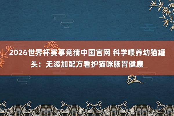 2026世界杯赛事竞猜中国官网 科学喂养幼猫罐头：无添加配方看护猫咪肠胃健康