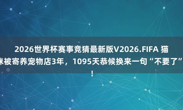 2026世界杯赛事竞猜最新版V2026.FIFA 猫咪被寄养宠物店3年，1095天恭候换来一句“不要了”！