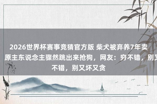 2026世界杯赛事竞猜官方版 柴犬被弃养7年卖出16万，原主东说念主骤然跳出来抢狗，网友：穷不错，别又坏又贪