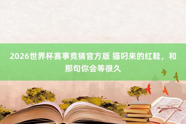 2026世界杯赛事竞猜官方版 猫叼来的红鞋，和那句你会等很久
