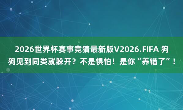 2026世界杯赛事竞猜最新版V2026.FIFA 狗狗见到同类就躲开？不是惧怕！是你“养错了”！