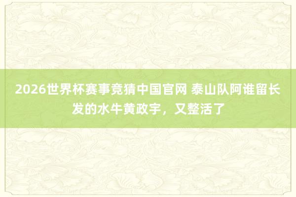 2026世界杯赛事竞猜中国官网 泰山队阿谁留长发的水牛黄政宇，又整活了