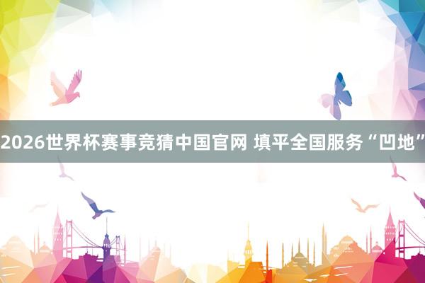 2026世界杯赛事竞猜中国官网 填平全国服务“凹地”