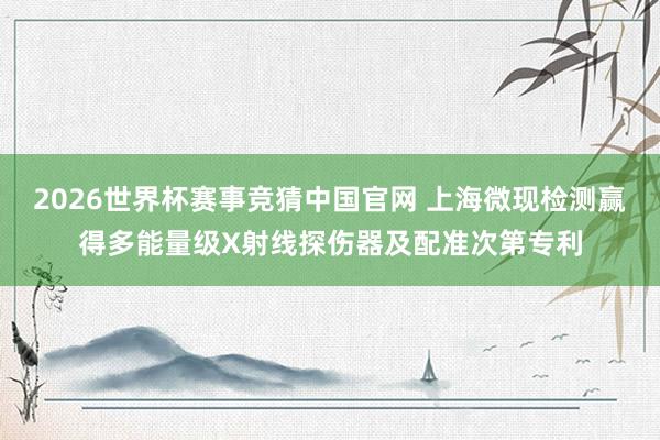 2026世界杯赛事竞猜中国官网 上海微现检测赢得多能量级X射线探伤器及配准次第专利