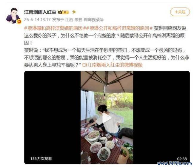 蔡琳首度公开与高梓淇六年跨国婚配驱逐的原因 争吵与压抑耗尽了我
