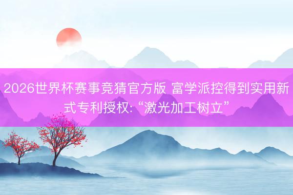 2026世界杯赛事竞猜官方版 富学派控得到实用新式专利授权: “激光加工树立”